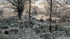 Autumn Sunrise ~ Blackwater canal  I (Muted)