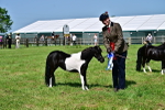 SBM_03690