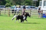 SBM_03437
