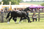 SBM_02371