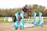 Class 2 - Senior British Novice - 90cm portfolio