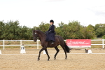 SBM_004617