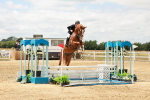 SBM_018413