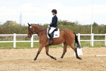 SBM_003079