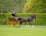 Attelage -495