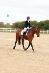 SBM_000995