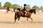 SBM_08153