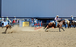 3HRodeo8-11-25_PRCASteer_03366_
