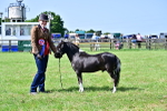 SBM_03684