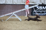 SBM_004476