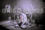 Pigsx7-85