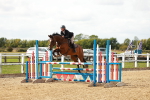 SBM_000953