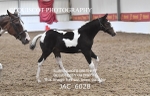 JAC_6028