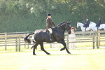 SBM_12453