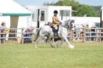 Class 107-108 - LIHS BSPS Performance Coloured Horse Pony portfolio