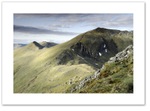 Flanks ♦ BEN LAWERS