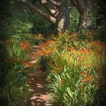 Bronze - Harry Gardiner - Into the Woods