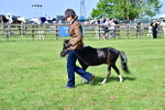 SBM_03393