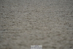 230708A-150748-03980