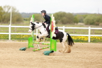 SBM_004095
