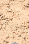 230915A-135856-00631