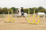 SBM_008328