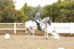 SBM_002678