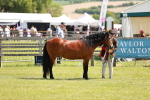 SBM_02519