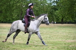WJ6_5522
