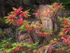 SUMAC - RABY LAKE
