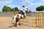 WJ5_8439