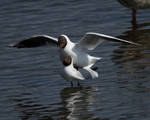 20110425-IMG_5049