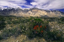 Along the Eastern Side portfolio