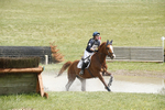 BVHT 140517  IXC -421