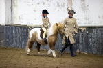 SBM_008867