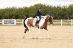 SBM_001860