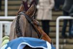 240126-Race 1-Jordans Cross-5816