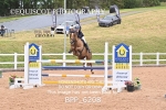 BPP_6208
