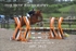 BPP_3422