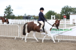 SBM_01466
