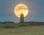 080 Moon and pepper pot