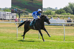 150726-Race 2-South West-2963