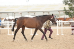 SBM_17057