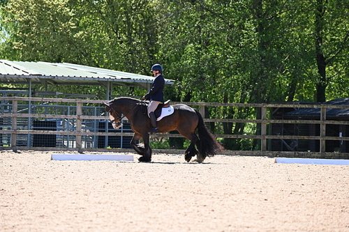 WJ6_0667