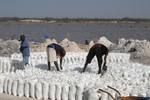 Senegal Lac Rose salt production 14 sewing bagsl
