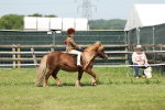 SBM_05329