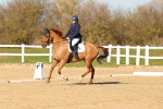 SBM_003490