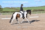 BPP_8903