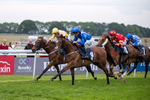 160626-Race 6-Regal Glory-5701