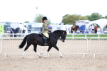 SBM_17491